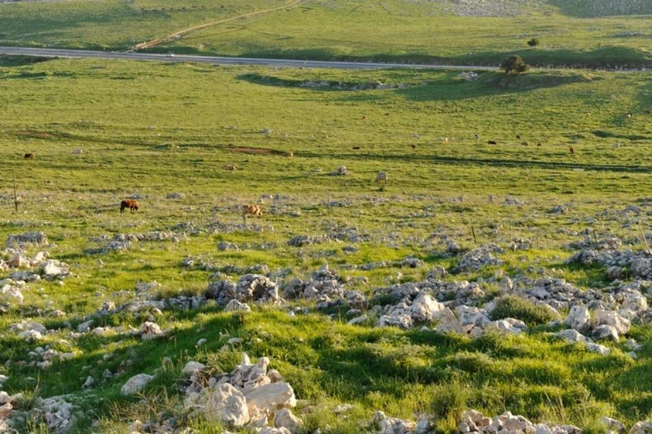 קאמי מלון בוטיק Safed Exterior photo